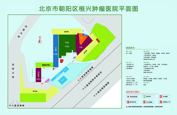 韩国美女日屄视频北京市朝阳区桓兴肿瘤医院平面图